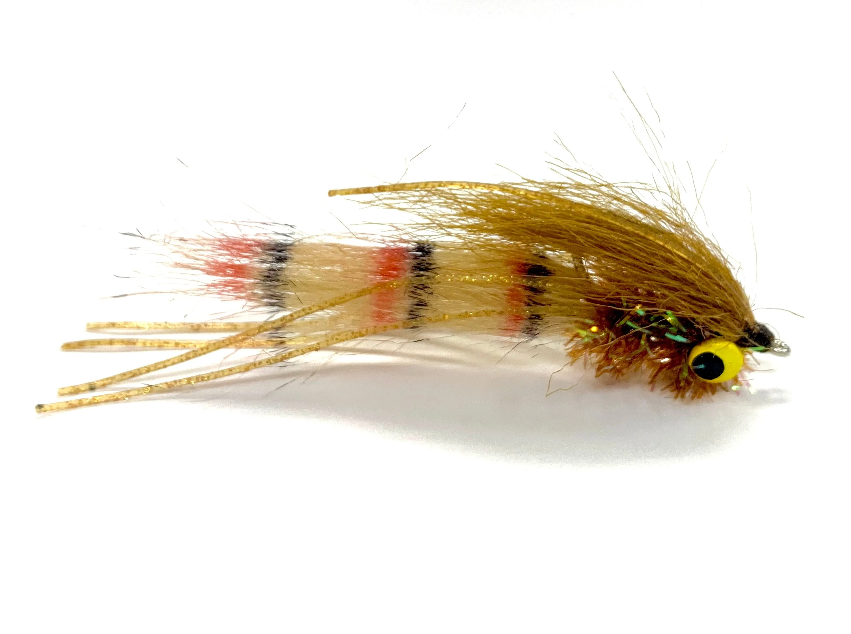 Crafty Shrimp